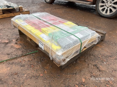 Quantity of (22) 2025 Suihe WS22 Web Sling (Unused)