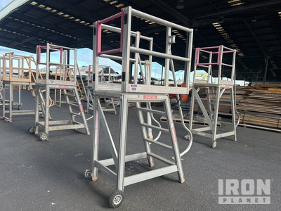 SSA 225 kg Platform Ladder