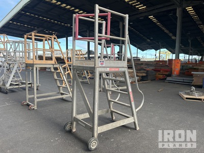 SSA 225 kg Platform Ladder
