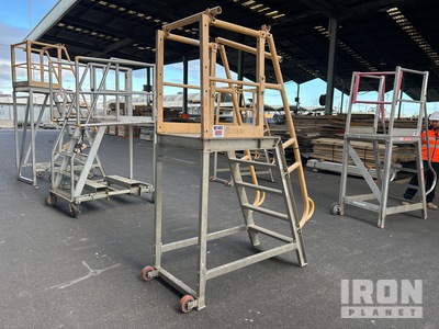 Star 200 kg Platform Ladder