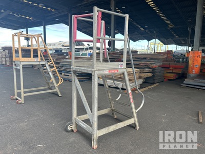 SSA 225 kg Platform Ladder