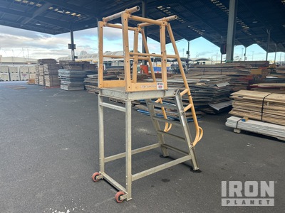 SSA 220 kg Platform Ladder