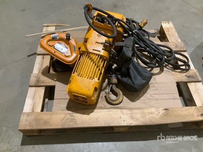 Harrington Electric Electric Construction Hoist