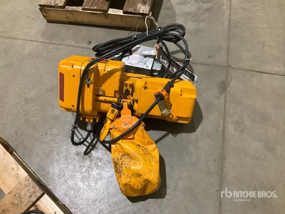 Harrington Electric Electric Construction Hoist