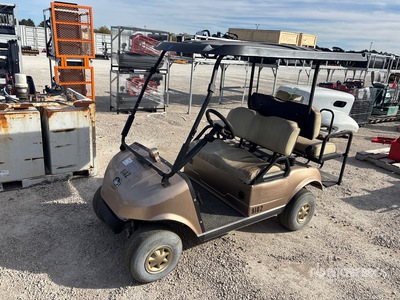2017 Evolution PTV Electric عربة الجولف