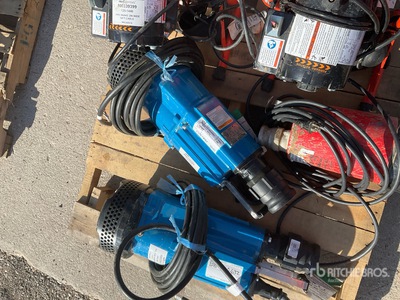 2022 Tsurumi NK2-15 Bomba de agua