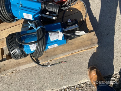 2022 Tsurumi NK2-15 Bomba de agua