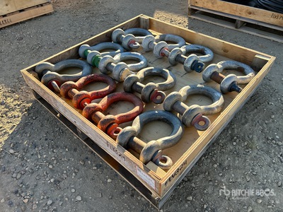 Quantity of (12) Crosby シャックル