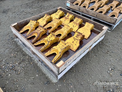 Quantity of Cat Bucket Teeth