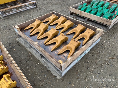 Quantity of Bucket Teeth
