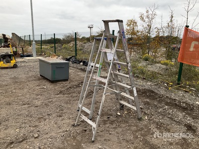 Quantity of (2) CLOW Ladder