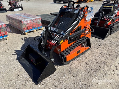 2025 SDLOOL SL36C Mini Oruga cargadora compacta