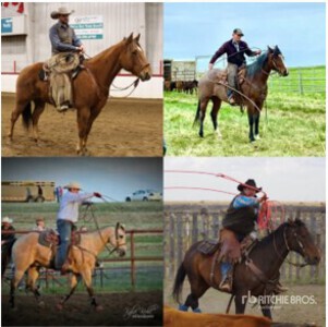 Mad House Ranch