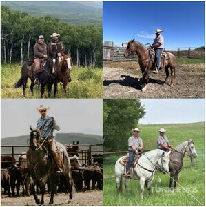 Marsh Ranches