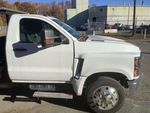General Appearance with Paint