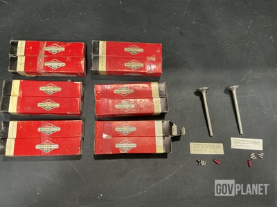 (140) Briggs & Stratton 390420 Engine Poppet Valves