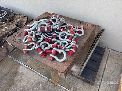 Quantity of Assorted Shackle