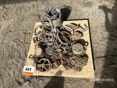 Quantity of Chain Hoist