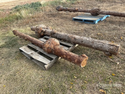 Quantity of (2) Logs with Burls Antiquités