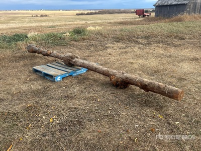 Log with Burls Antiquités
