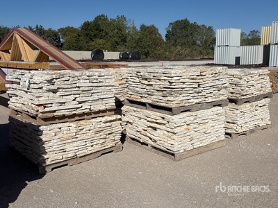 Quantity of (10) Austin Sunflower Blend Sawn Limestone 4 - 8 In. Thin Veneer Stone