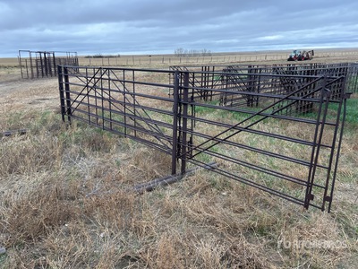 Quantity of (2) 14 ft Gate 20 ft Livestock Panel