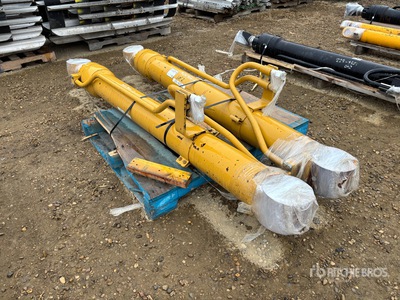 Quantity of (2) 2254523-C Boom Cilinder - Fits Cat 345 Excavator