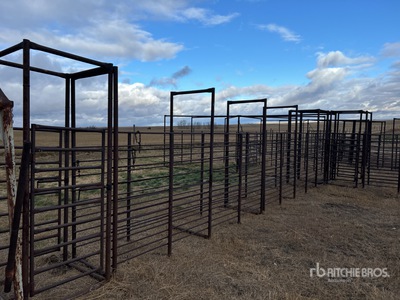 Cattle Alley & Crowding Tub