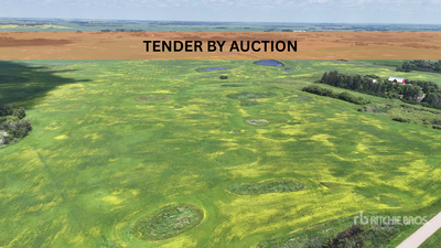 Windthorst, SK SE-18-14-6-W2 136.37 +/- Acres on Title Landbouwgrond