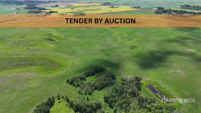 Windthorst, SK Pt SW 17-14-6-W2 79.16 +/- Acres on Title Landbouwgrond
