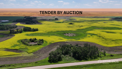 Windthorst, SK NW 8-14-6-W2 158.86 +/- Acres on Title Landbouwgrond