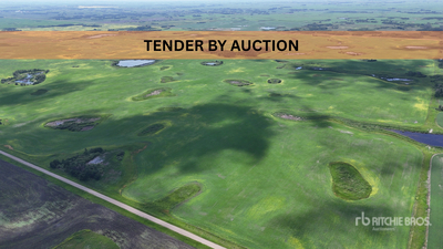 Windthorst, SK SE 7-14-6-W2 159.61 +/- Acres on Title Landbouwgrond
