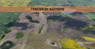 Windthorst, SK SW 8-14-6-W2 159.58 +/- Acres on Title Landbouwgrond