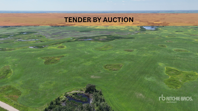 Windthorst, SK NE 6-14-6-W2 159.42 +/- Acres on Title Landbouwgrond