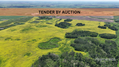 Windthorst, SK NE 5-14-6-W2 159.83 +/- Acres on Title Landbouwgrond