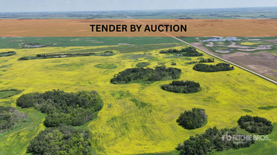 Windthorst, SK SE-5-14-6-W2 159.83 +/- Acres on Title Landbouwgrond