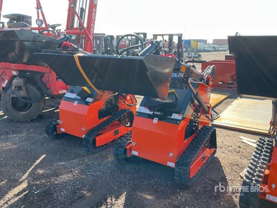 2025 SDLOOL SL36C Skid Steer Loader (Unused)