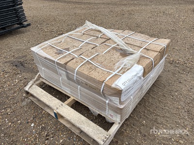 Quantity of (12) 2025 BYT SS21 21 pc 3/4" Socket Set Divers - Magasin, entrepôt, consommateur (Unused)