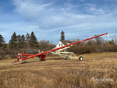 Farm King 10 in x 70 ft Swing Barrena de grano