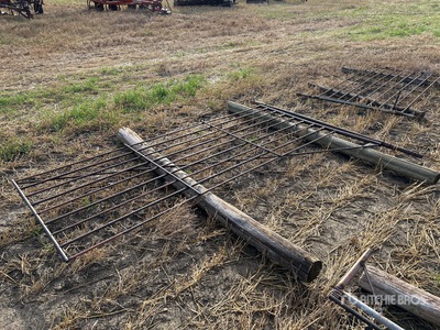 10 ft Livestock Gate