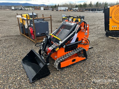 2025 SDLOOL SL36C Mini Oruga cargadora compacta (Unused)