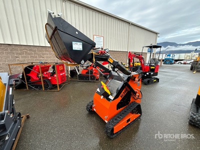 2025 SDLOOL SL36C Mini Oruga cargadora compacta (Unused)