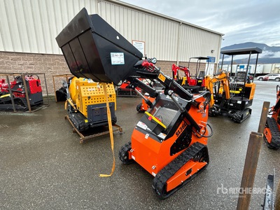 2025 SDLOOL SL36C Mini Oruga cargadora compacta (Unused)