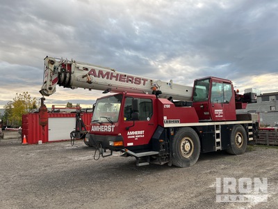 2006 Liebherr LTM1030 40 ton 4x4 40 ton 4x4 オールテラインクレイン