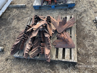 Quantity of 16 in Cultivator Shoes