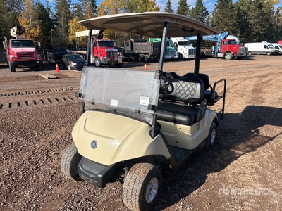 2017 Yamaha Electric Golf Cart