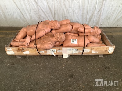 (6) Assorted Training Manikins