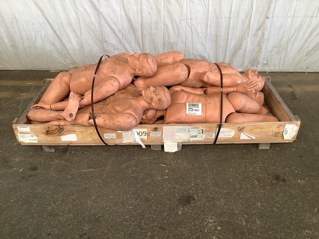 (6) Assorted Training Manikins