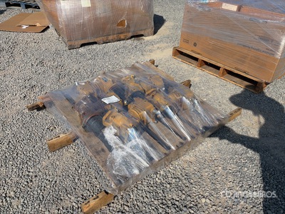 Quantity of (5) Cat Pumps