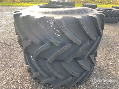 Quantity of (2) Firestone 800/65R32 MT-HARV TL 178A8178B إطارات المعدات